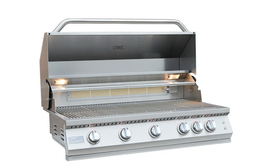 Professional Built in Gas Grill (5 Burner/Back Burner)