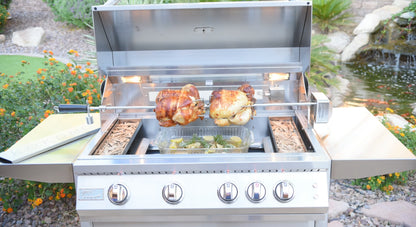 Professional Built in Gas Grill (4 Burner/Back Burner)