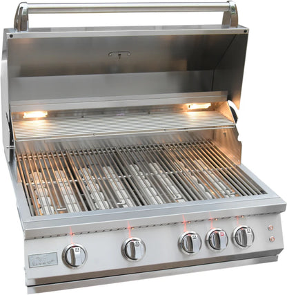 Professional Built in Gas Grill (4 Burner/Back Burner)