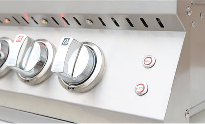 Professional Built in Gas Grill (4 Burner/Back Burner)