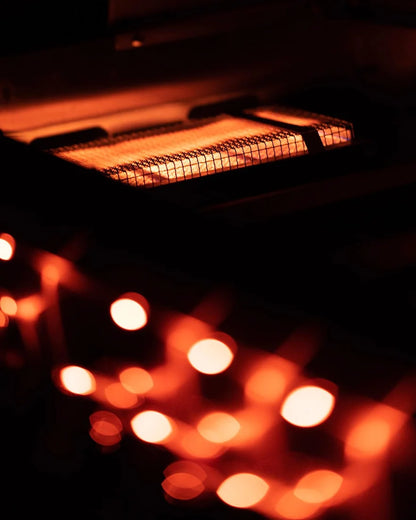 Professional Built in Gas Grill (4 Burner/Back Burner)