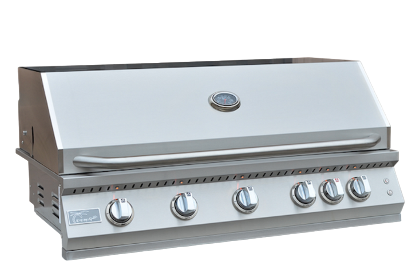 Professional Built in Gas Grill (5 Burner/Back Burner)