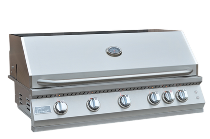 Professional Built in Gas Grill (5 Burner/Back Burner)