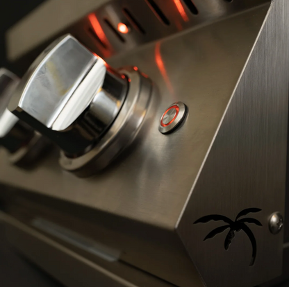 Professional Double Side Burner with removable cover