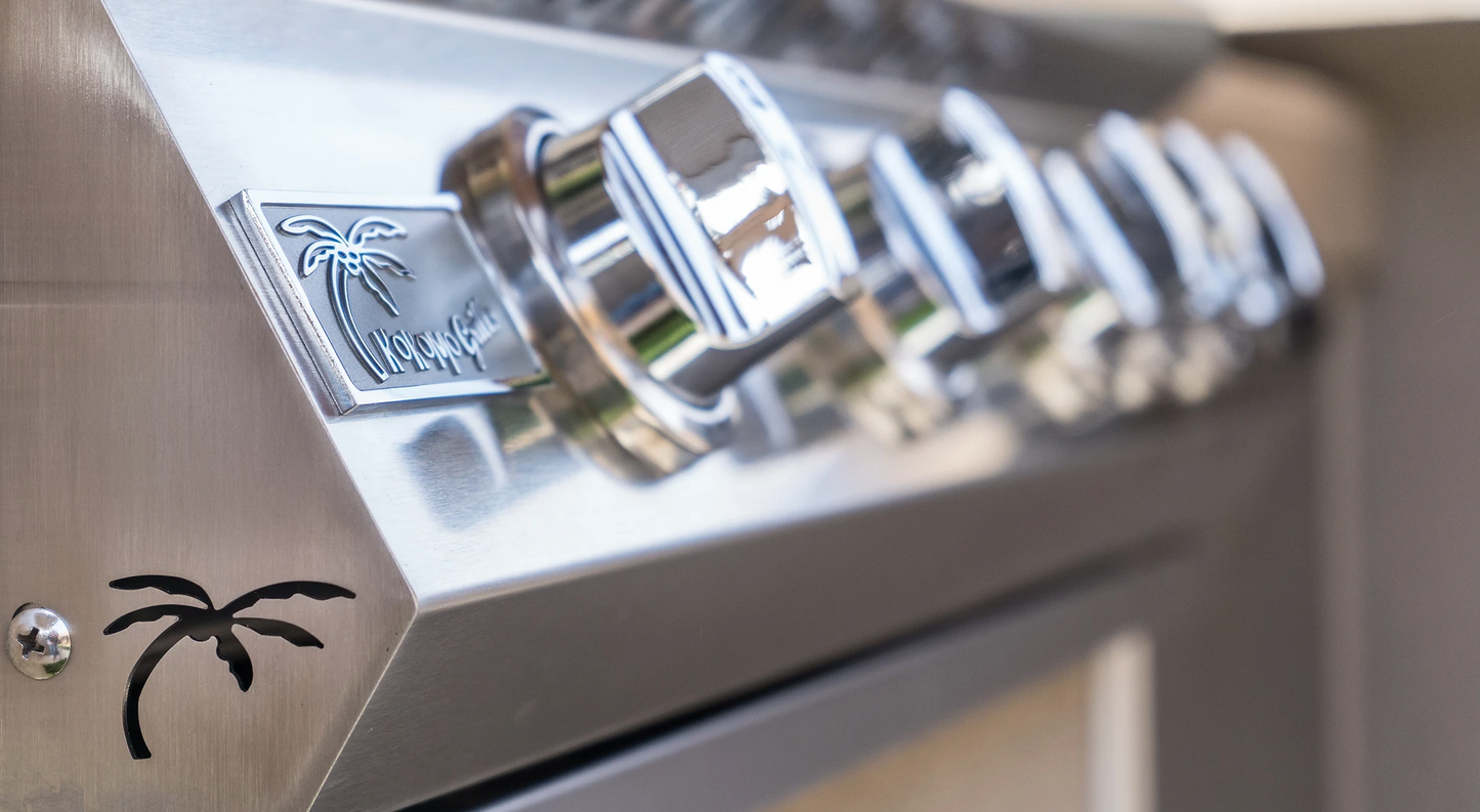 Built in Gas Grill (5 Burner/Back Burner)