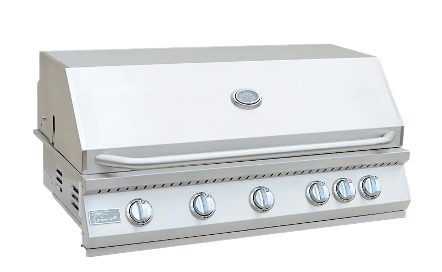 Built in Gas Grill (5 Burner/Back Burner)