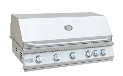 Built in Gas Grill (5 Burner/Back Burner)
