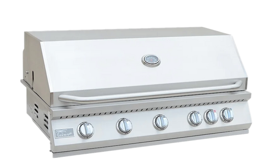 Built in Gas Grill (5 Burner/Back Burner)