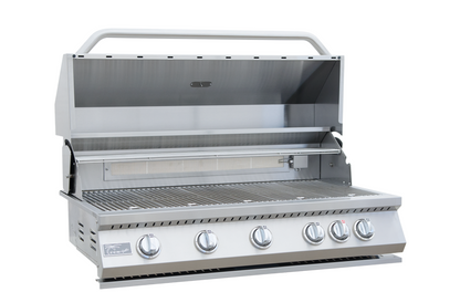Built in Gas Grill (5 Burner/Back Burner)