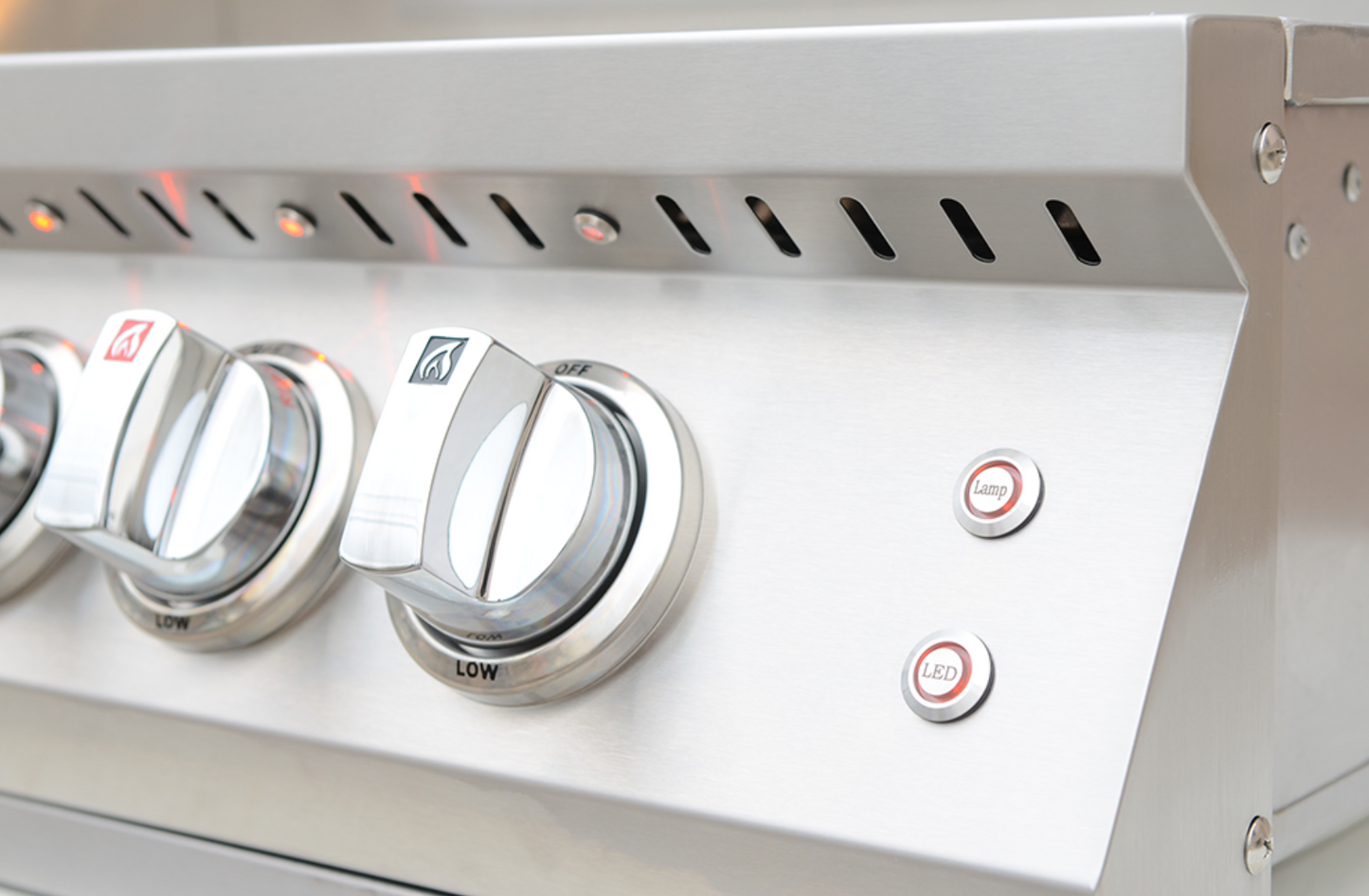 Professional Built in Gas Grill (5 Burner/Back Burner)