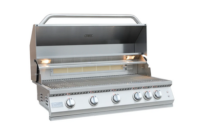 Professional Built in Gas Grill (5 Burner/Back Burner)