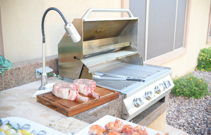 Built in Gas Grill (4 Burner/Back Burner)