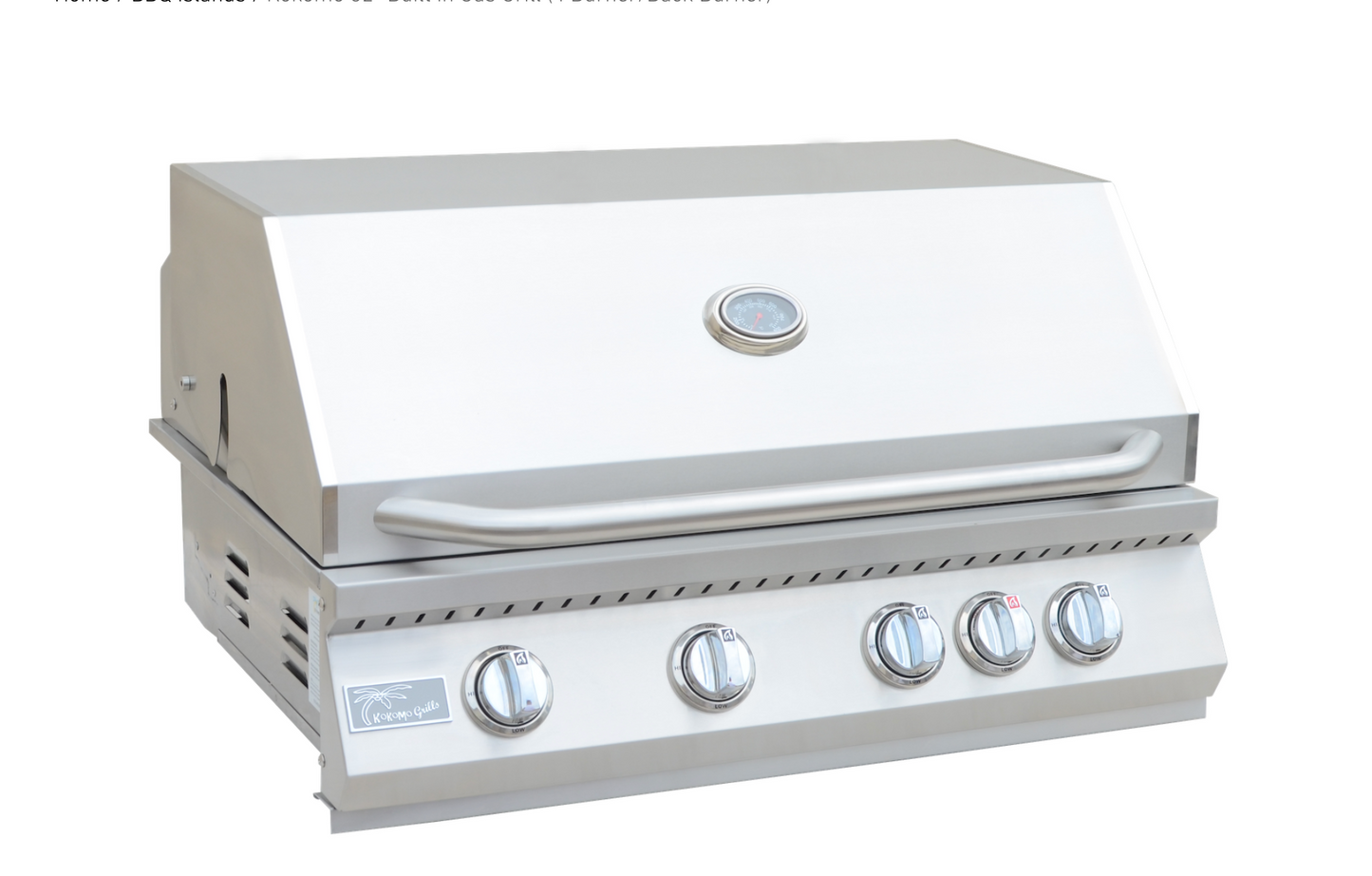 Built in Gas Grill (4 Burner/Back Burner)