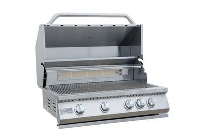 Built in Gas Grill (4 Burner/Back Burner)