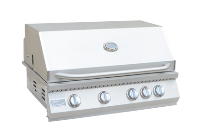 Built in Gas Grill (4 Burner/Back Burner)