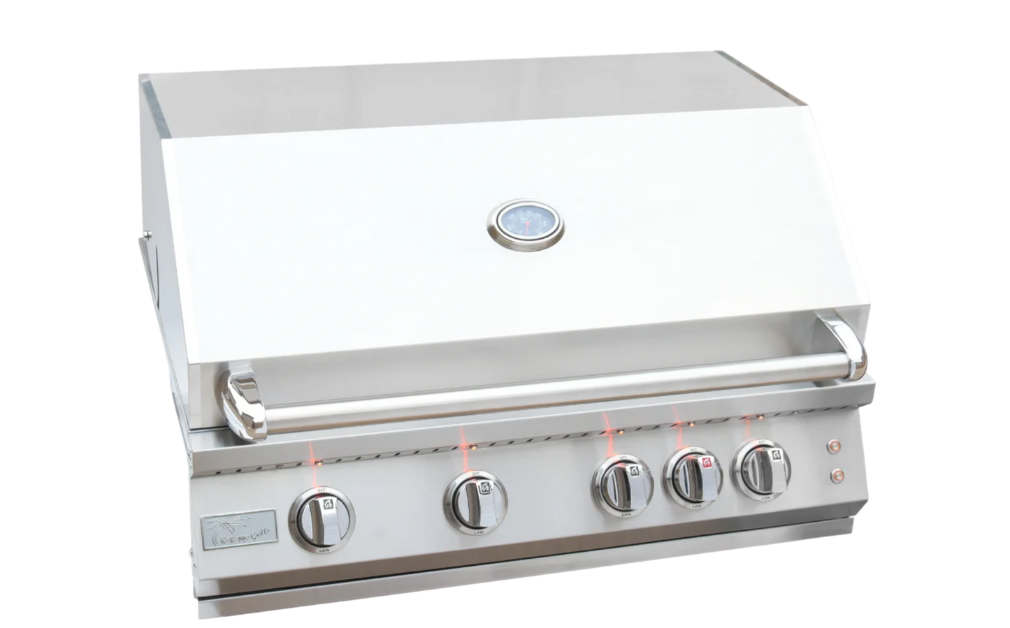 Professional Built in Gas Grill (4 Burner/Back Burner)