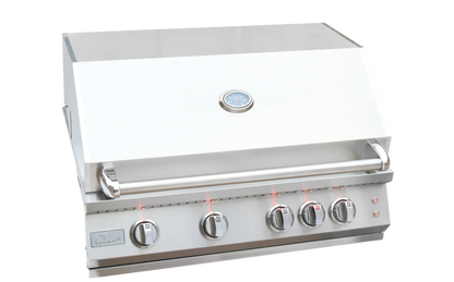 Professional Built in Gas Grill (4 Burner/Back Burner)