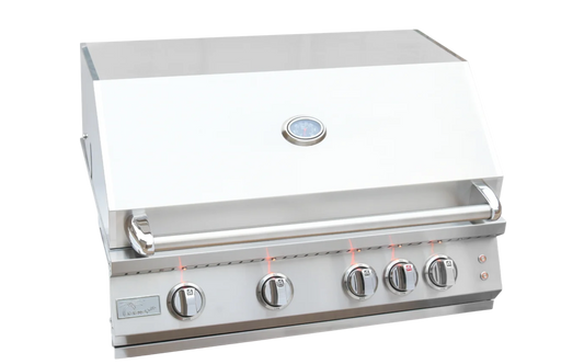 Professional Built in Gas Grill (4 Burner/Back Burner)